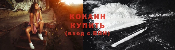 ПСИЛОЦИБИНОВЫЕ ГРИБЫ Няндома