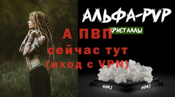 стафф Нязепетровск