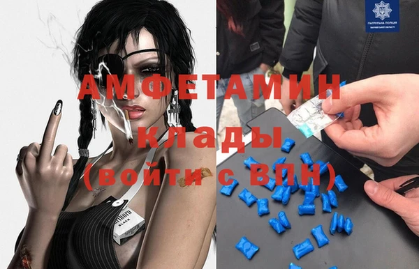 ПСИЛОЦИБИНОВЫЕ ГРИБЫ Няндома