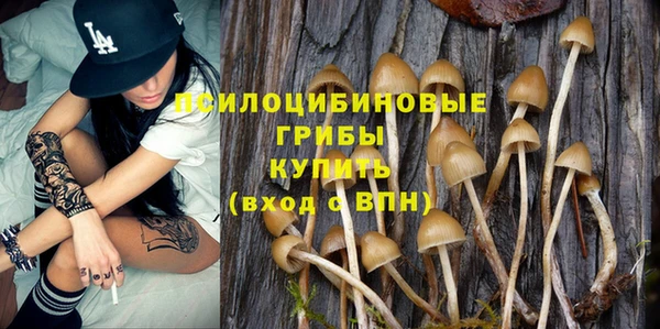 стафф Абдулино