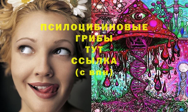 а пвп мука Абаза